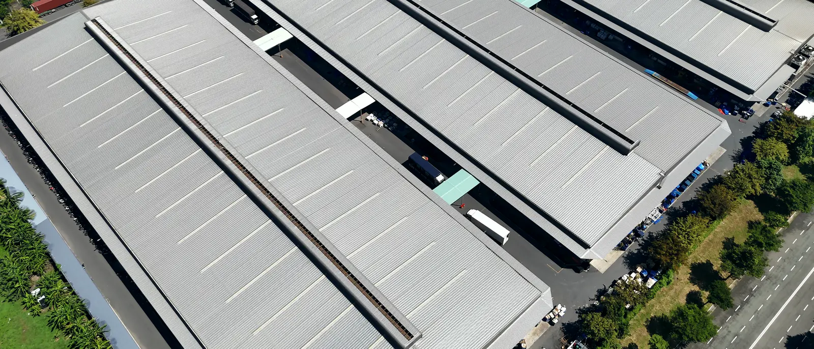 A distribution park seen from straight above in daylight: long gray roofs with skylight rails, a few trailers at the dock doors and a road with trees along the right edge, stock footage